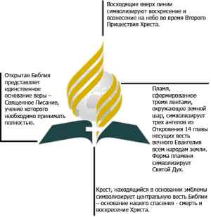 грейпфруктовая диета